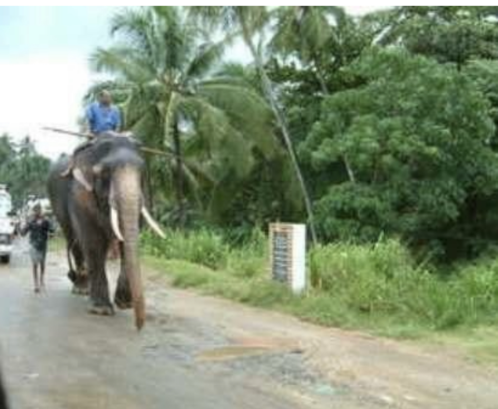 令和４年度活動計算書