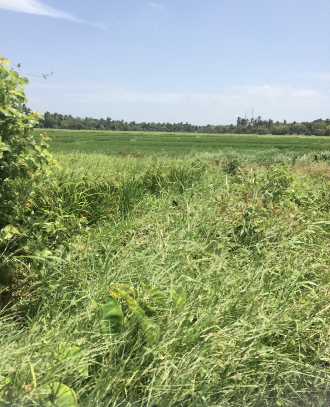 令和４年度事業報告書